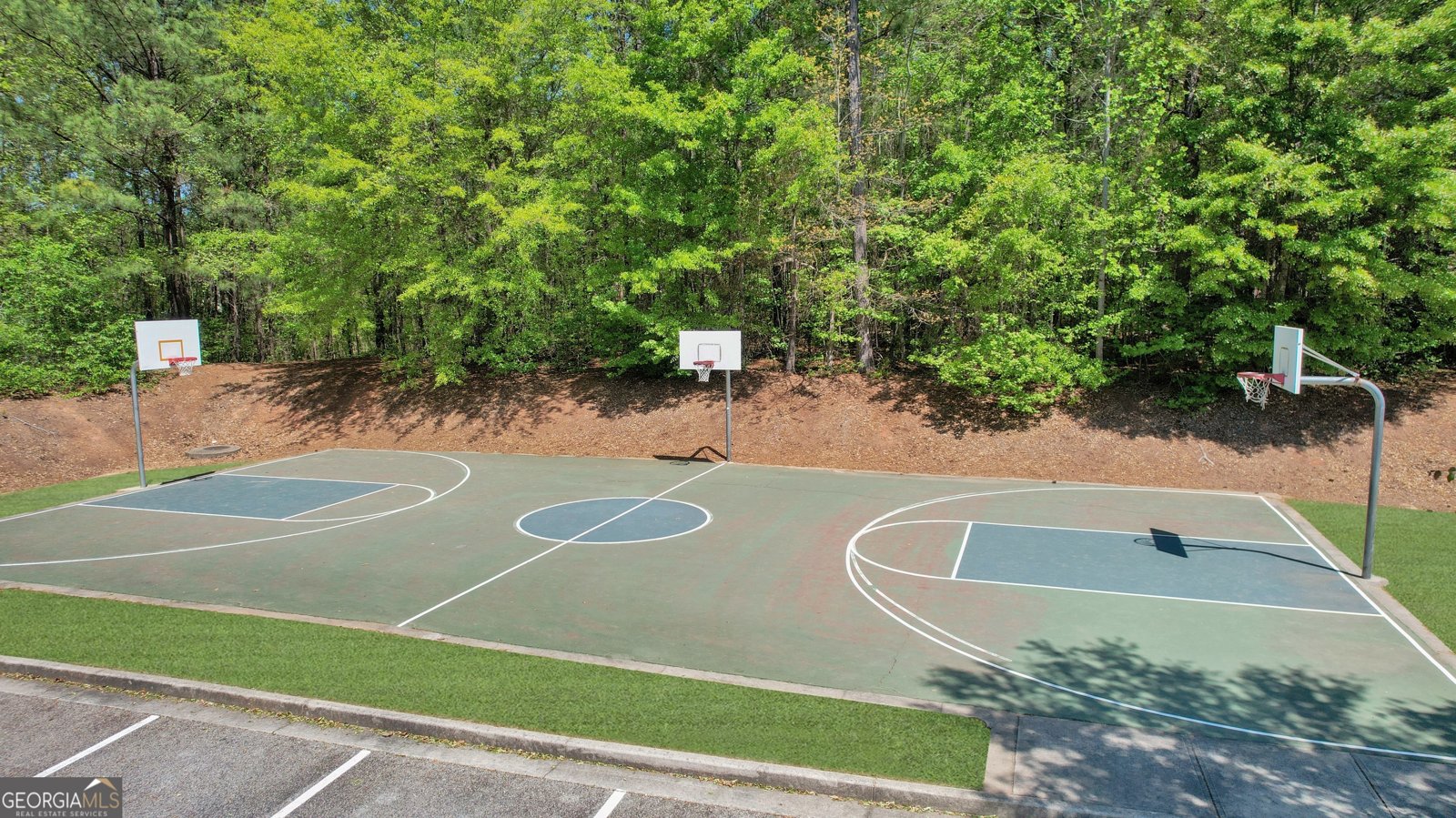 170 Savannah Drive Senoia - 55