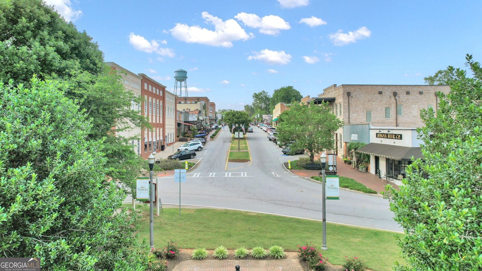 170 Savannah Drive Senoia - 57