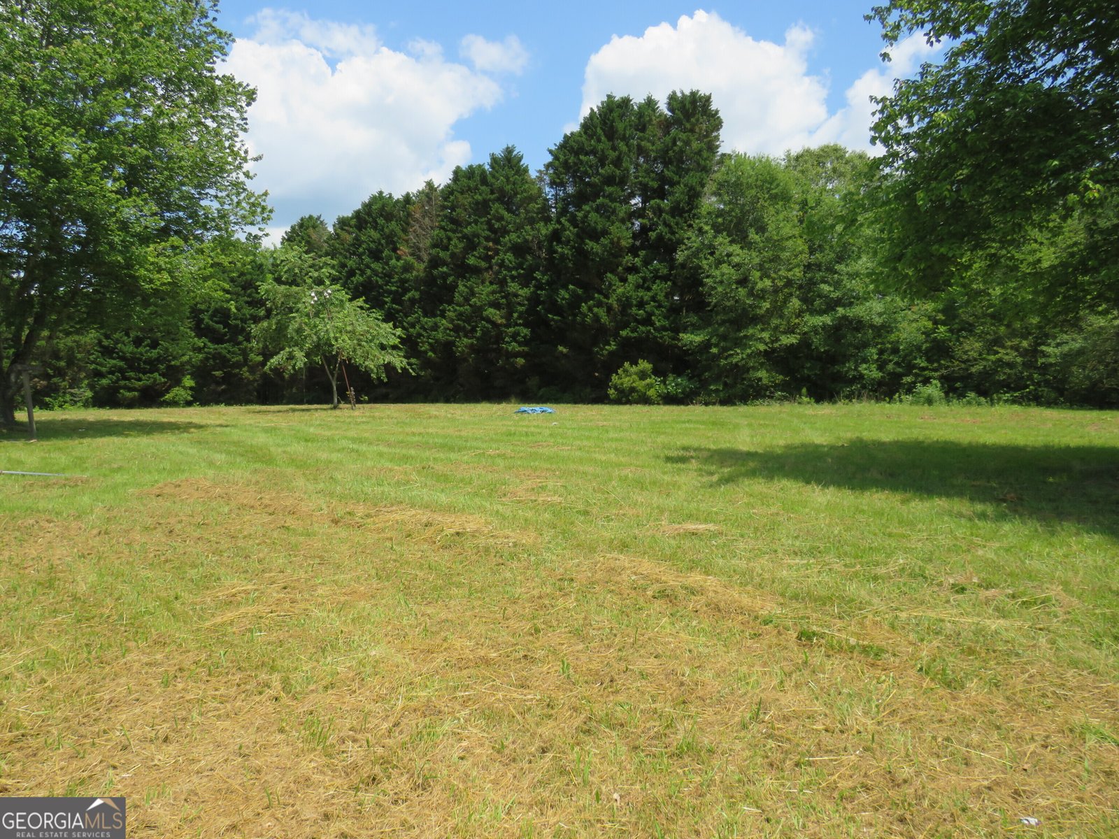 1919 Stroud Road McDonough - 3