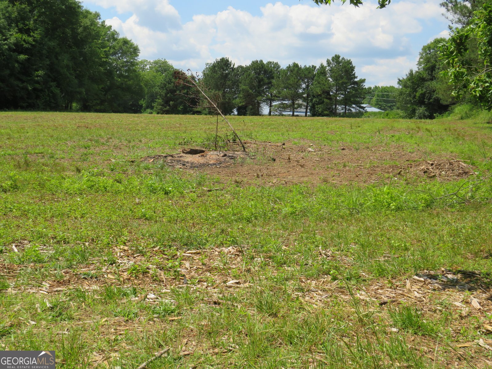 1919 Stroud Road McDonough - 4