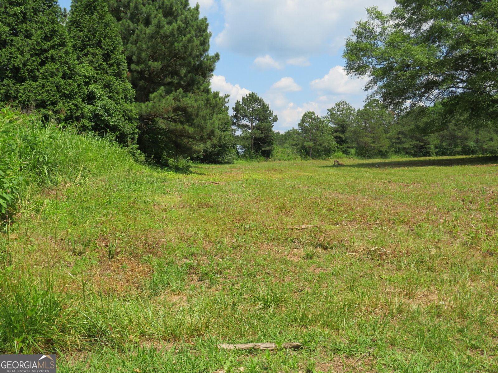 1919 Stroud Road McDonough - 6