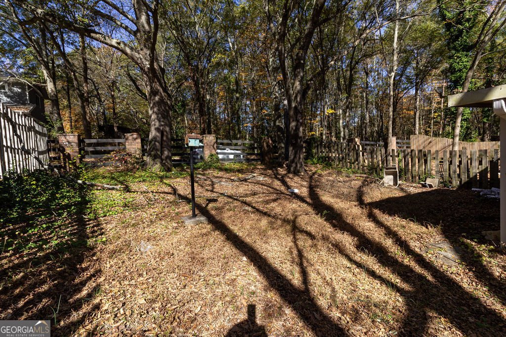 8697 Ashley Way Douglasville - 13