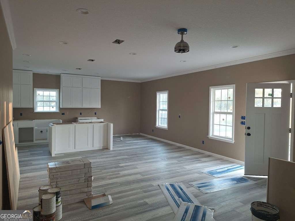 155 Peach Lane Baxley - 4