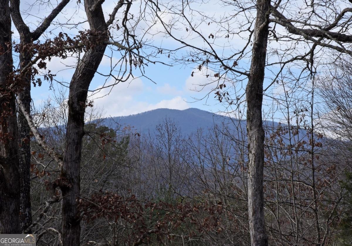 16 Souther Ridge Conn Blairsville - 2