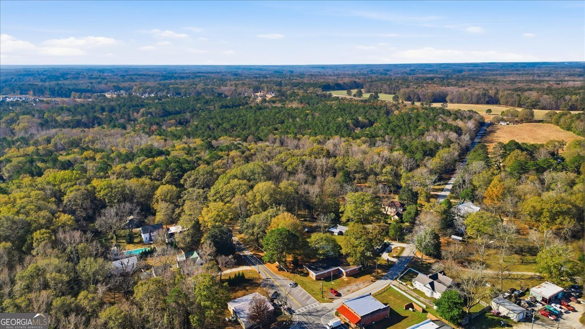 42 Hunter Street Senoia - 68