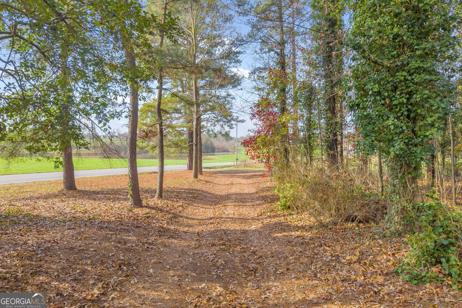 1898 Sandy Cross Road Royston - 45