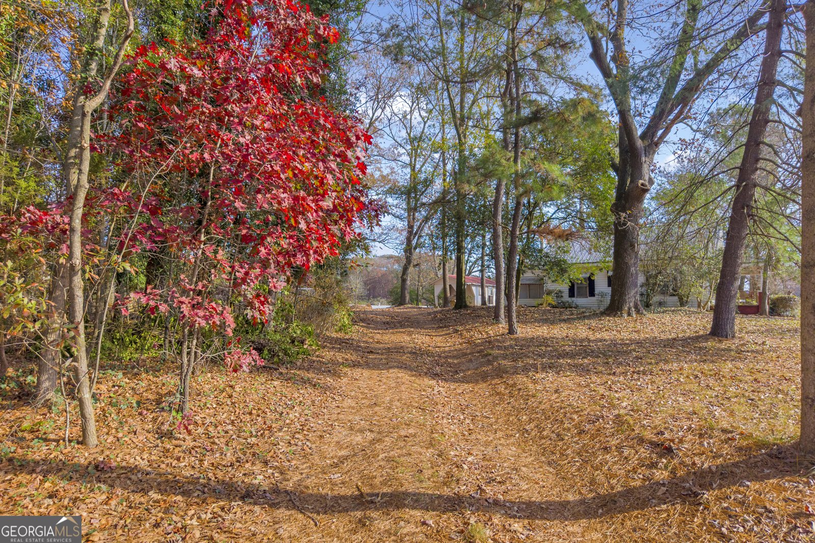 1898 Sandy Cross Road Royston - 47