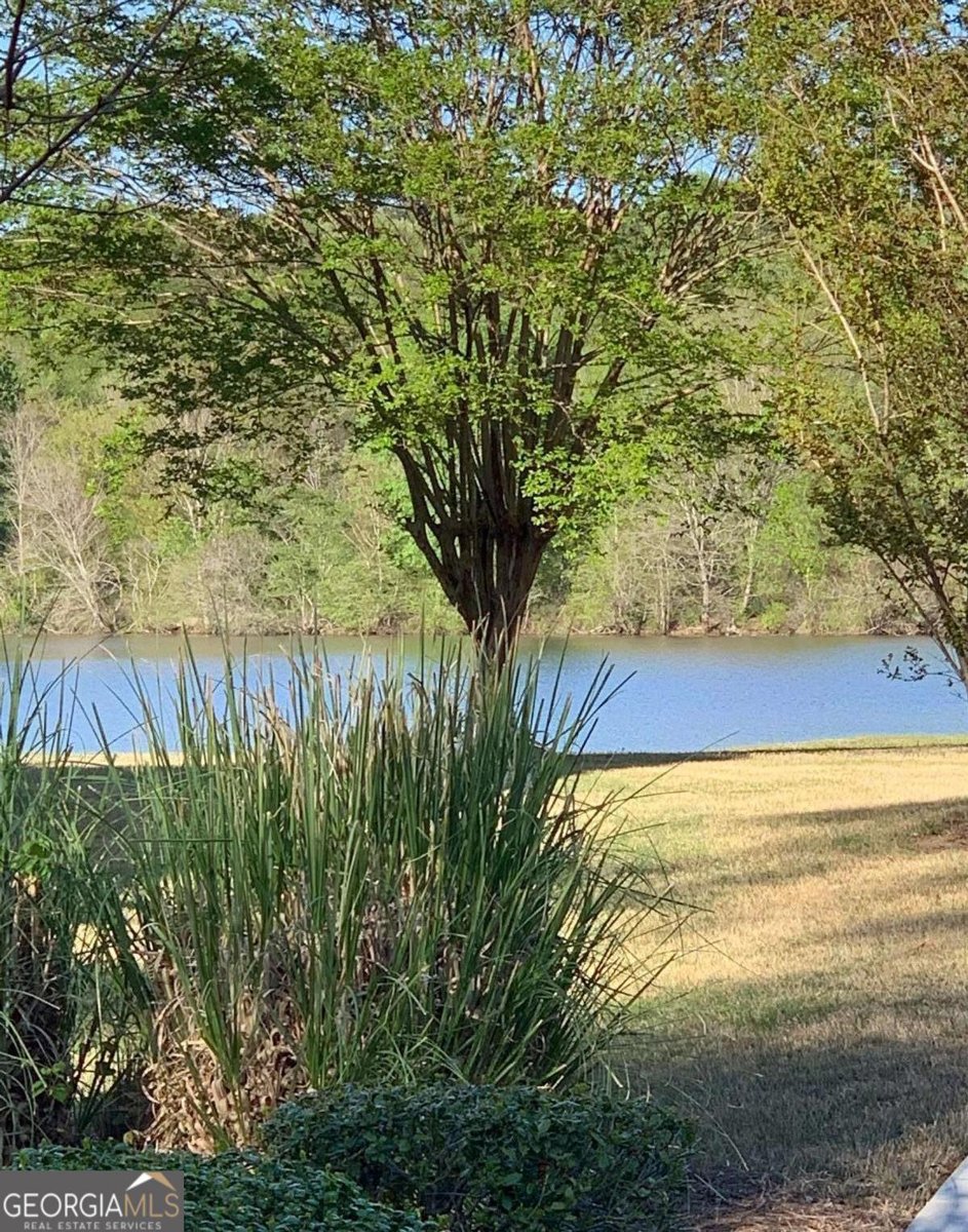 803 Ridgelake Drive Peachtree City - 20