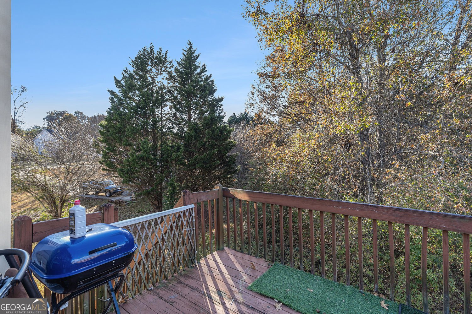 4067 Lion's Gate Douglasville - 28