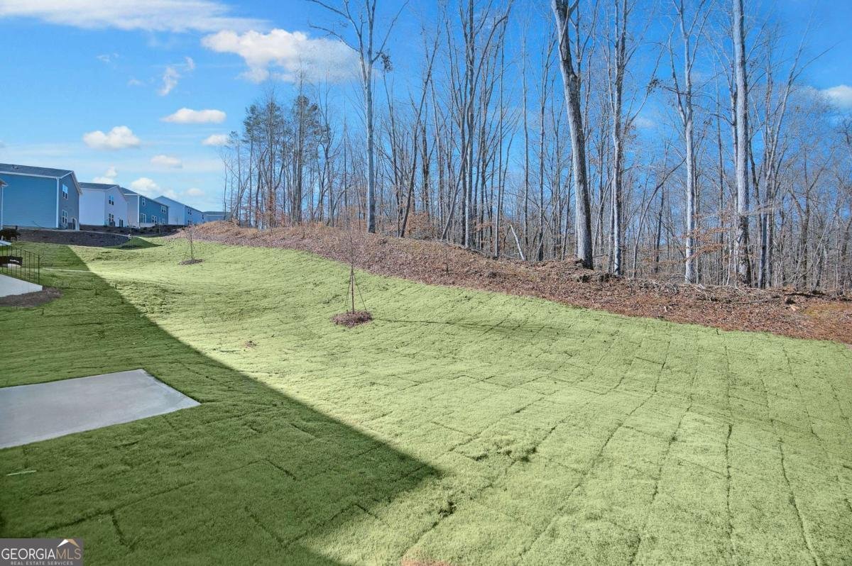 3110 Whitman Court Gainesville - 28