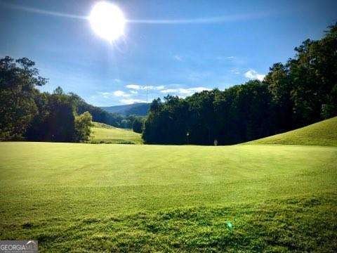 160 Cherokee Drive Waleska - Photo 44