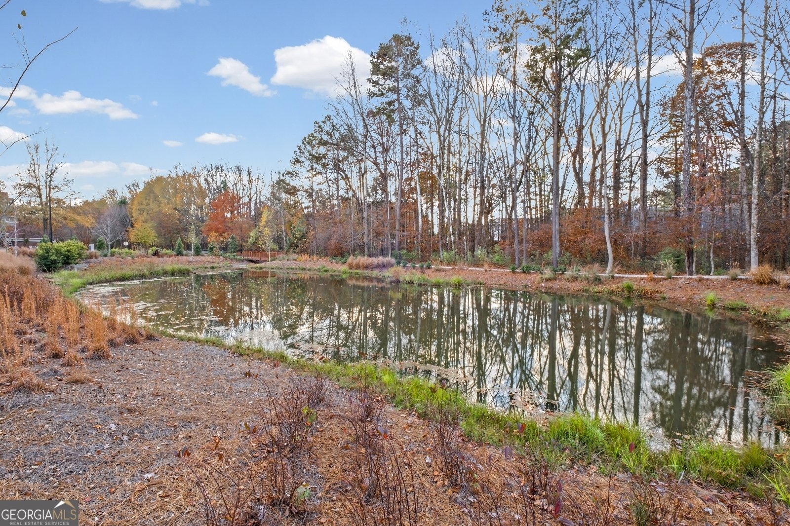 223 Downing Drive Alpharetta - 36