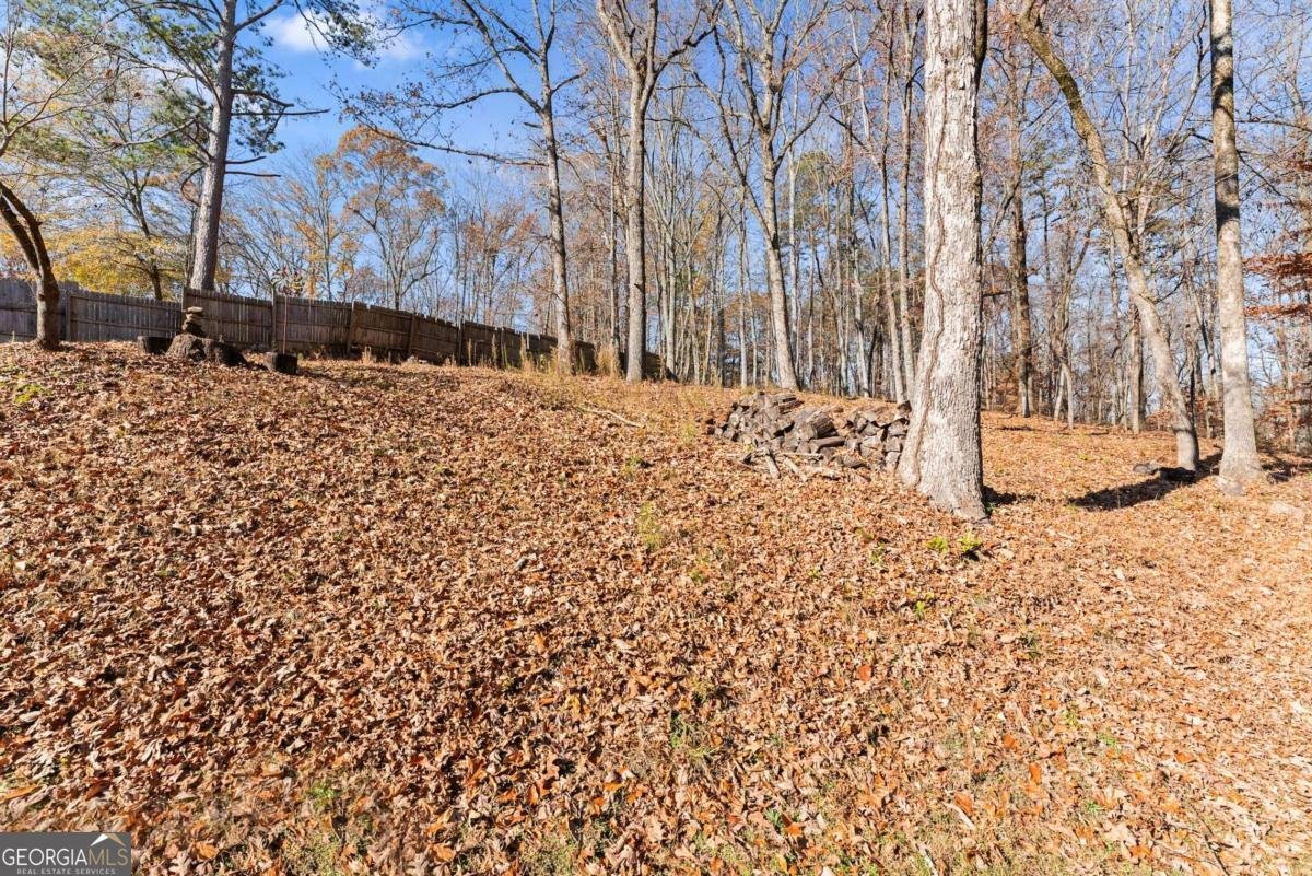 6229 Ivy Springs Drive Flowery Branch - 19