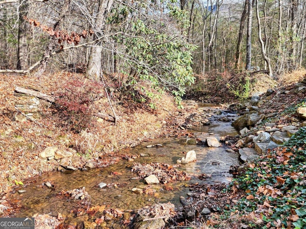 164 Bear Bend Blairsville - 36