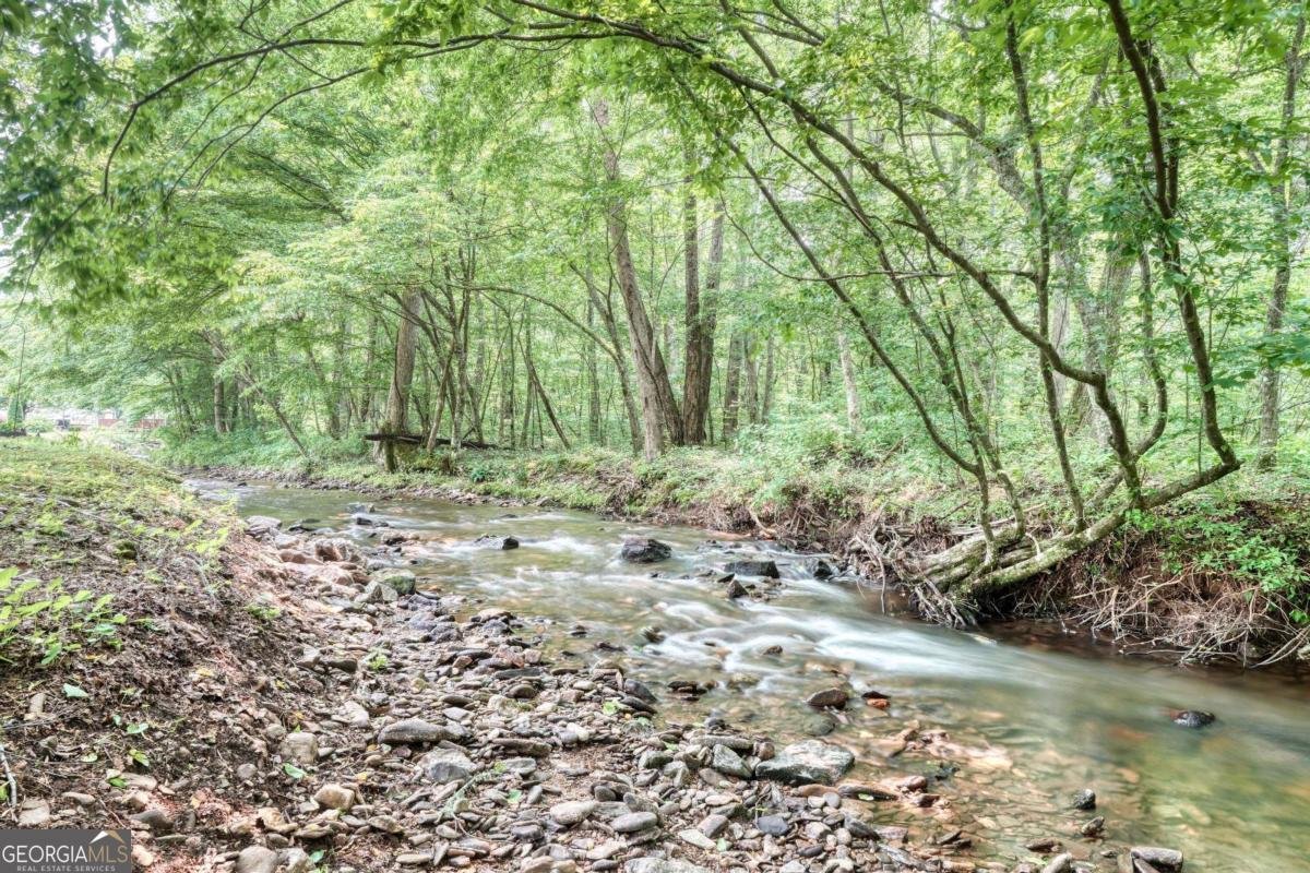 164 Bear Bend Blairsville - 45