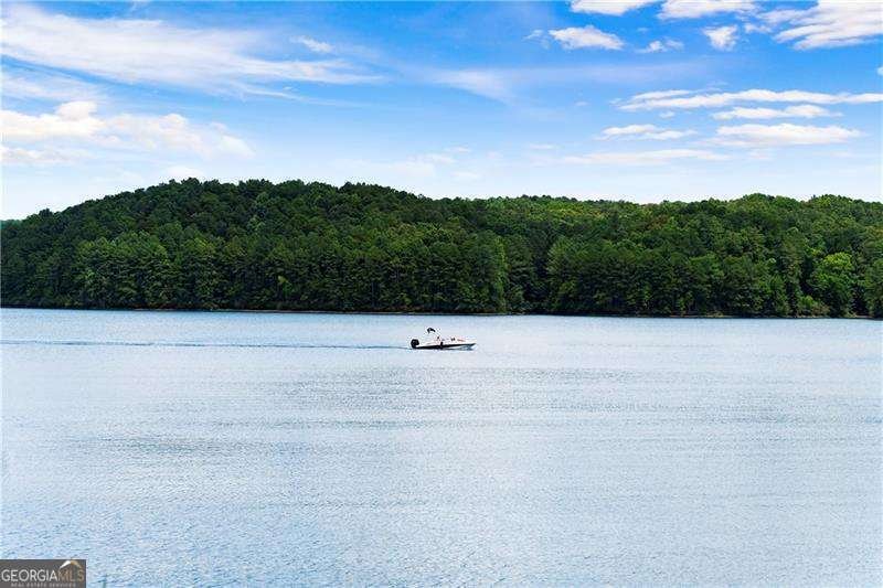 180 Cherokee Drive Waleska - 3