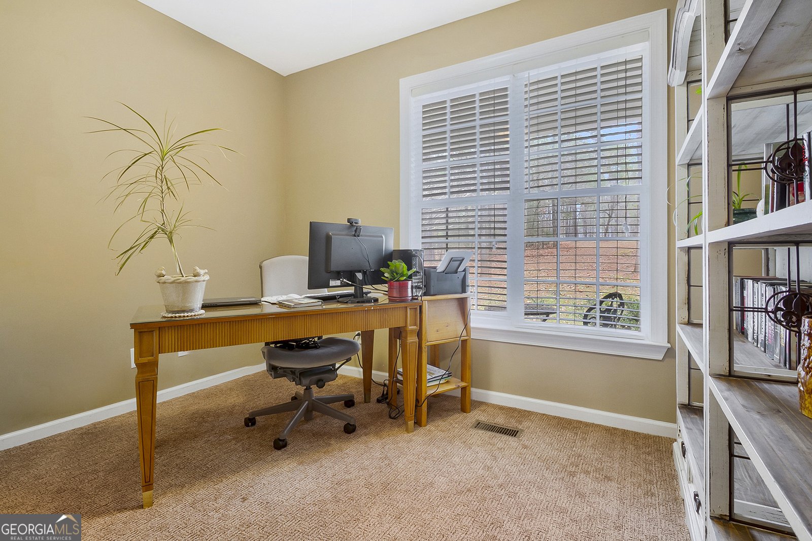 22 Rabon Drive Forsyth - 23