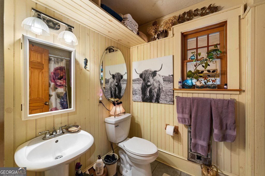 208 Bullen Gap Road Blue Ridge - 17