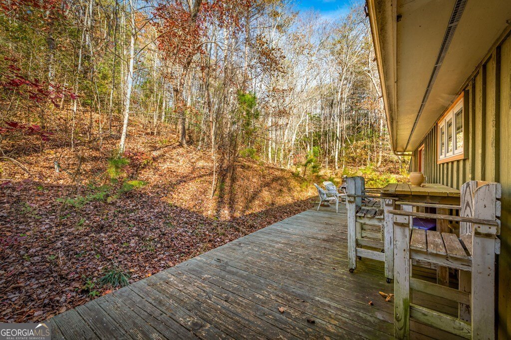 208 Bullen Gap Road Blue Ridge - 36