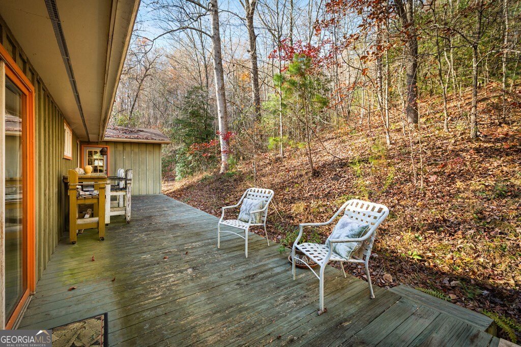 208 Bullen Gap Road Blue Ridge - 38