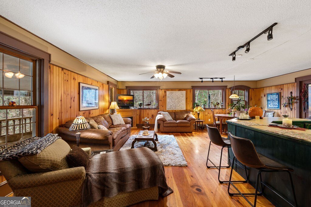 208 Bullen Gap Road Blue Ridge - 4