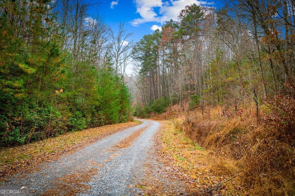 208 Bullen Gap Road Blue Ridge - 42