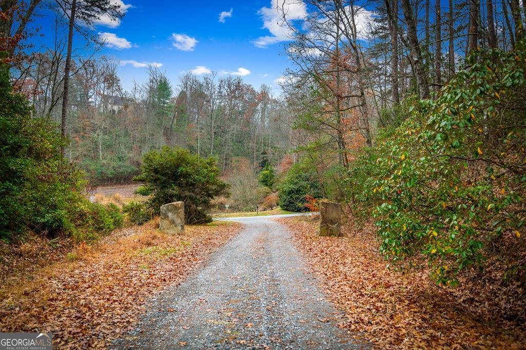 208 Bullen Gap Road Blue Ridge - 43