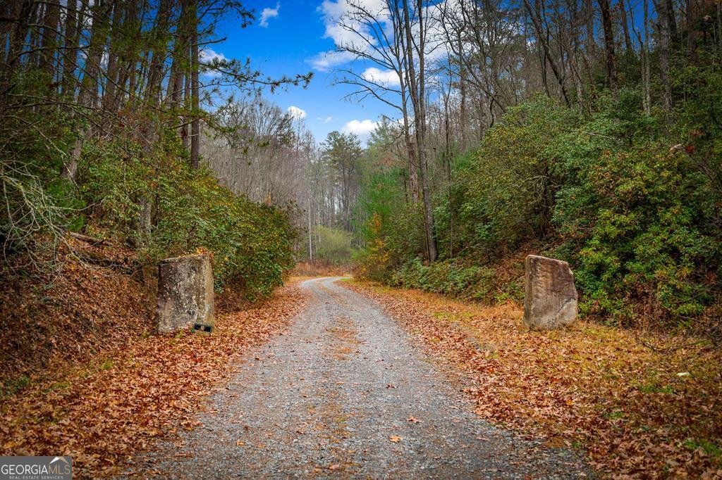 208 Bullen Gap Road Blue Ridge - 45