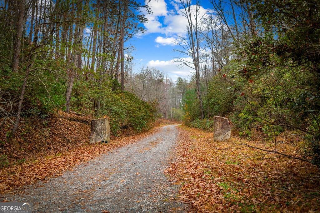 208 Bullen Gap Road Blue Ridge - 46