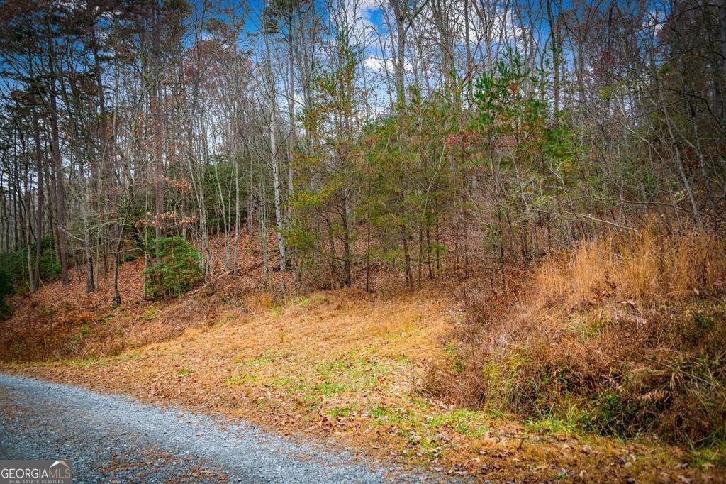 208 Bullen Gap Road Blue Ridge - 47