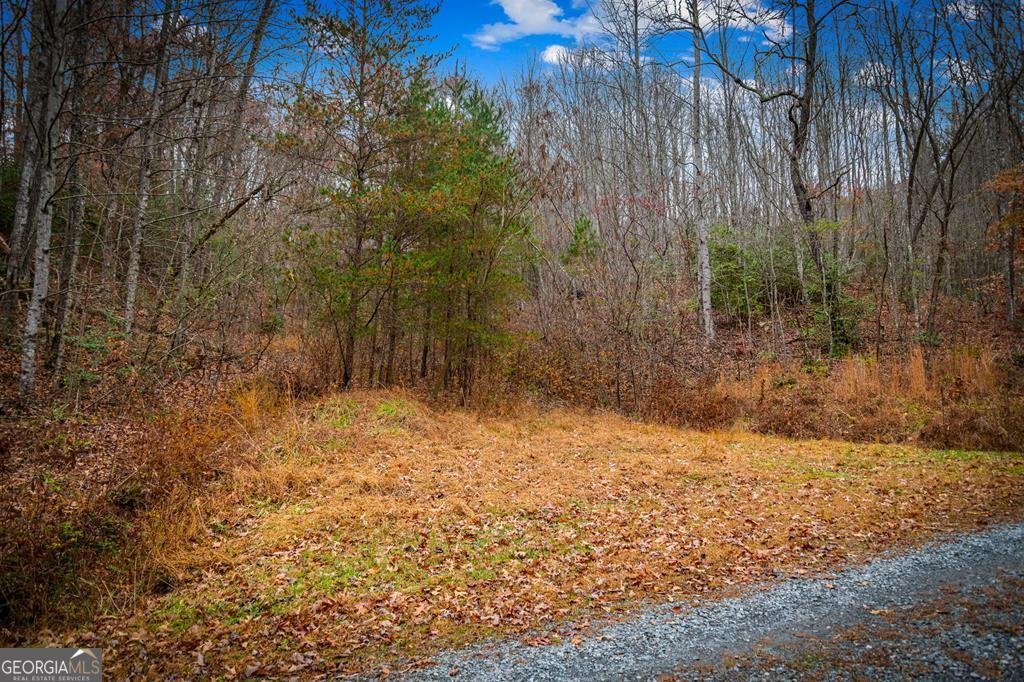 208 Bullen Gap Road Blue Ridge - 48