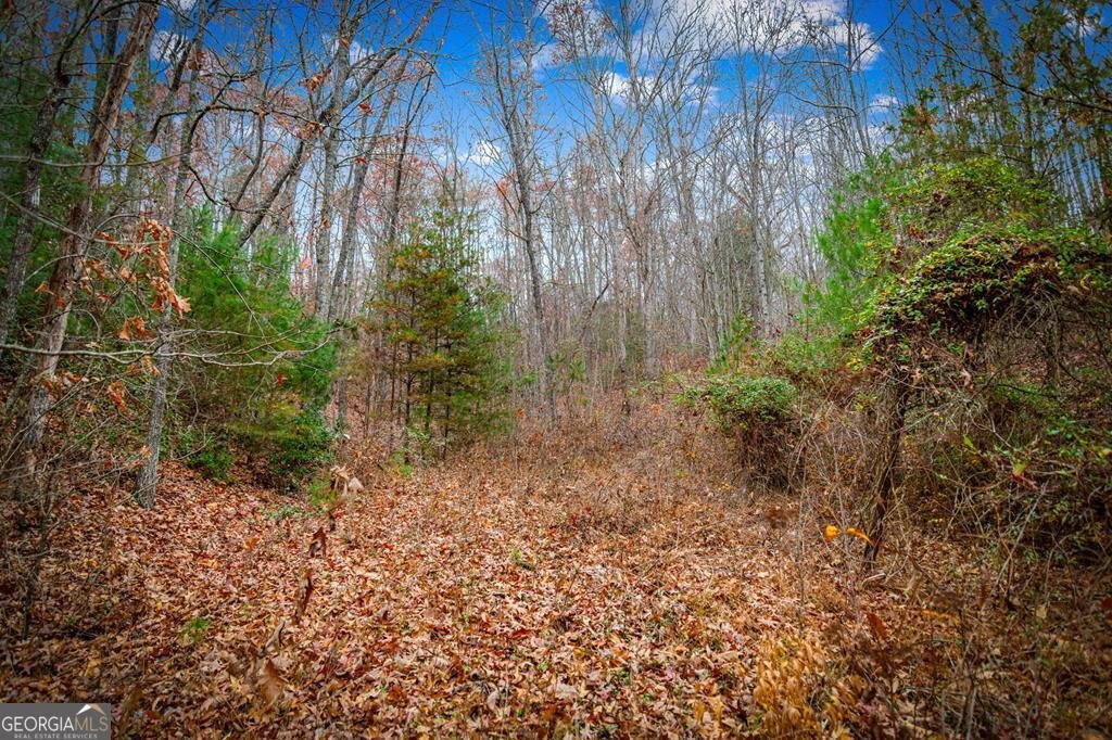 208 Bullen Gap Road Blue Ridge - 50