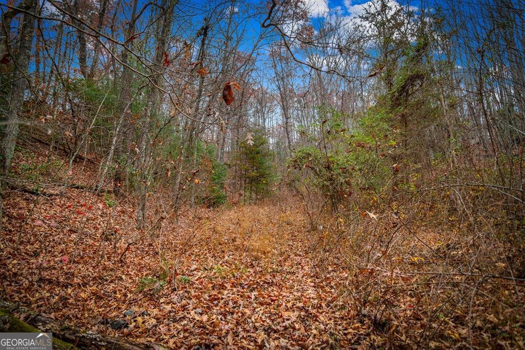 208 Bullen Gap Road Blue Ridge - 51