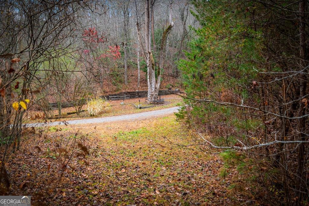 208 Bullen Gap Road Blue Ridge - 52
