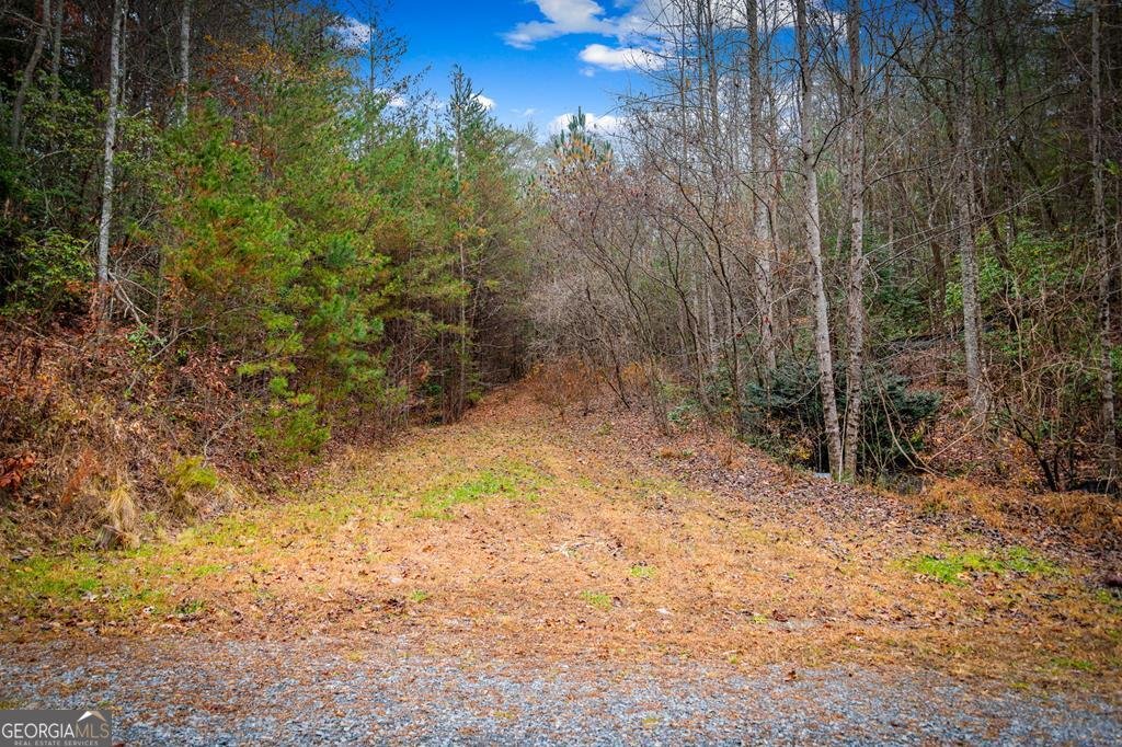 208 Bullen Gap Road Blue Ridge - 53