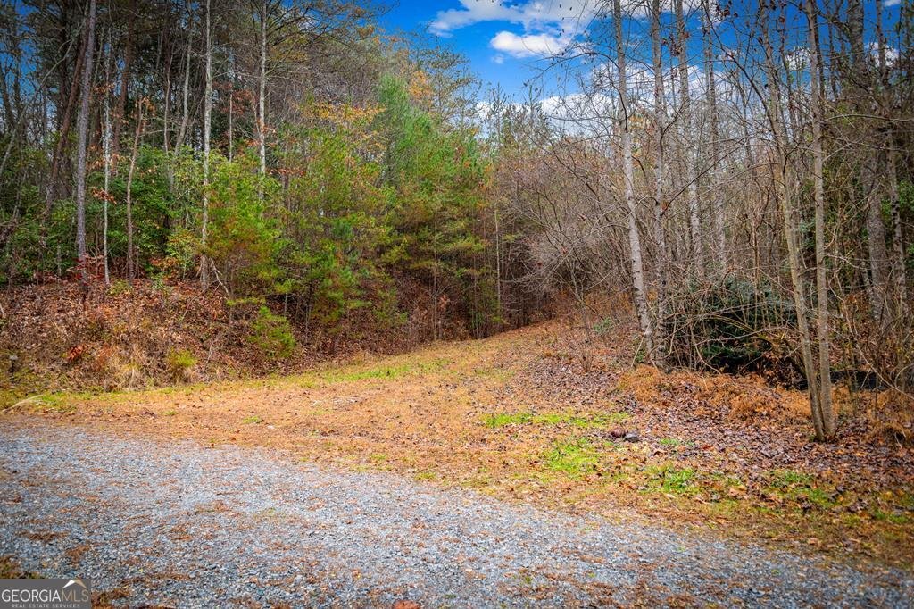 208 Bullen Gap Road Blue Ridge - 54