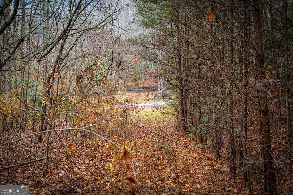 208 Bullen Gap Road Blue Ridge - 55