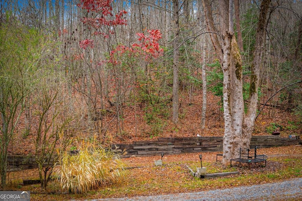 208 Bullen Gap Road Blue Ridge - 56