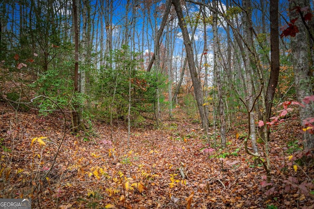 208 Bullen Gap Road Blue Ridge - 57