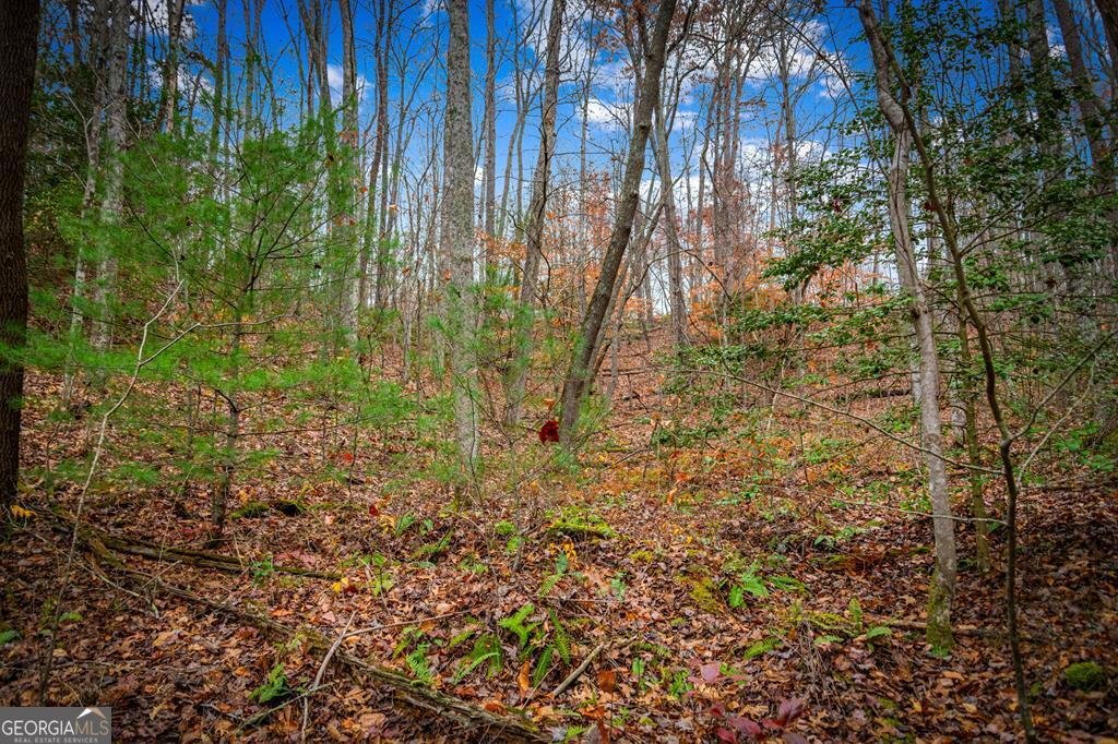 208 Bullen Gap Road Blue Ridge - 58