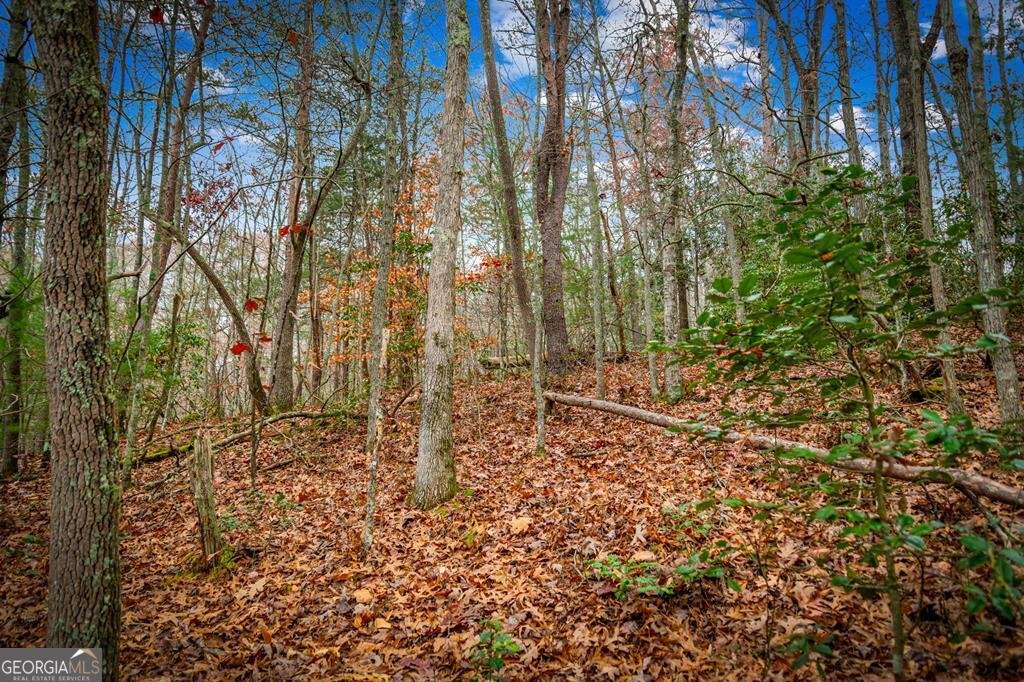 208 Bullen Gap Road Blue Ridge - 59