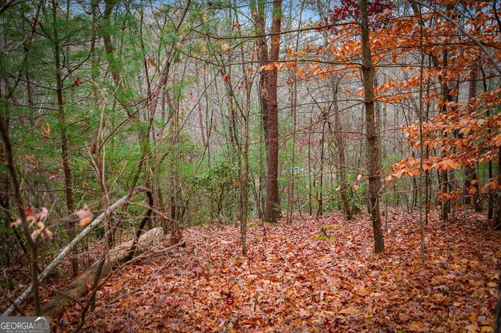 208 Bullen Gap Road Blue Ridge - 60