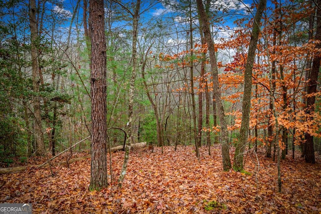 208 Bullen Gap Road Blue Ridge - 61