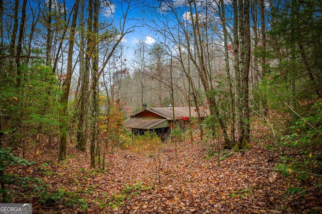 208 Bullen Gap Road Blue Ridge - 62