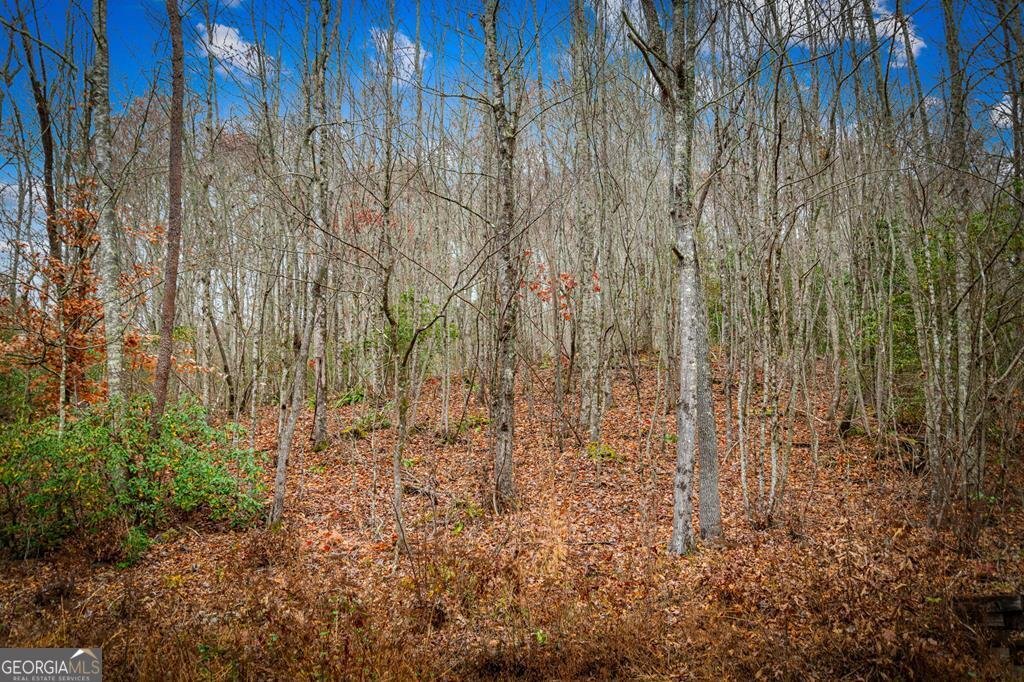 208 Bullen Gap Road Blue Ridge - 63