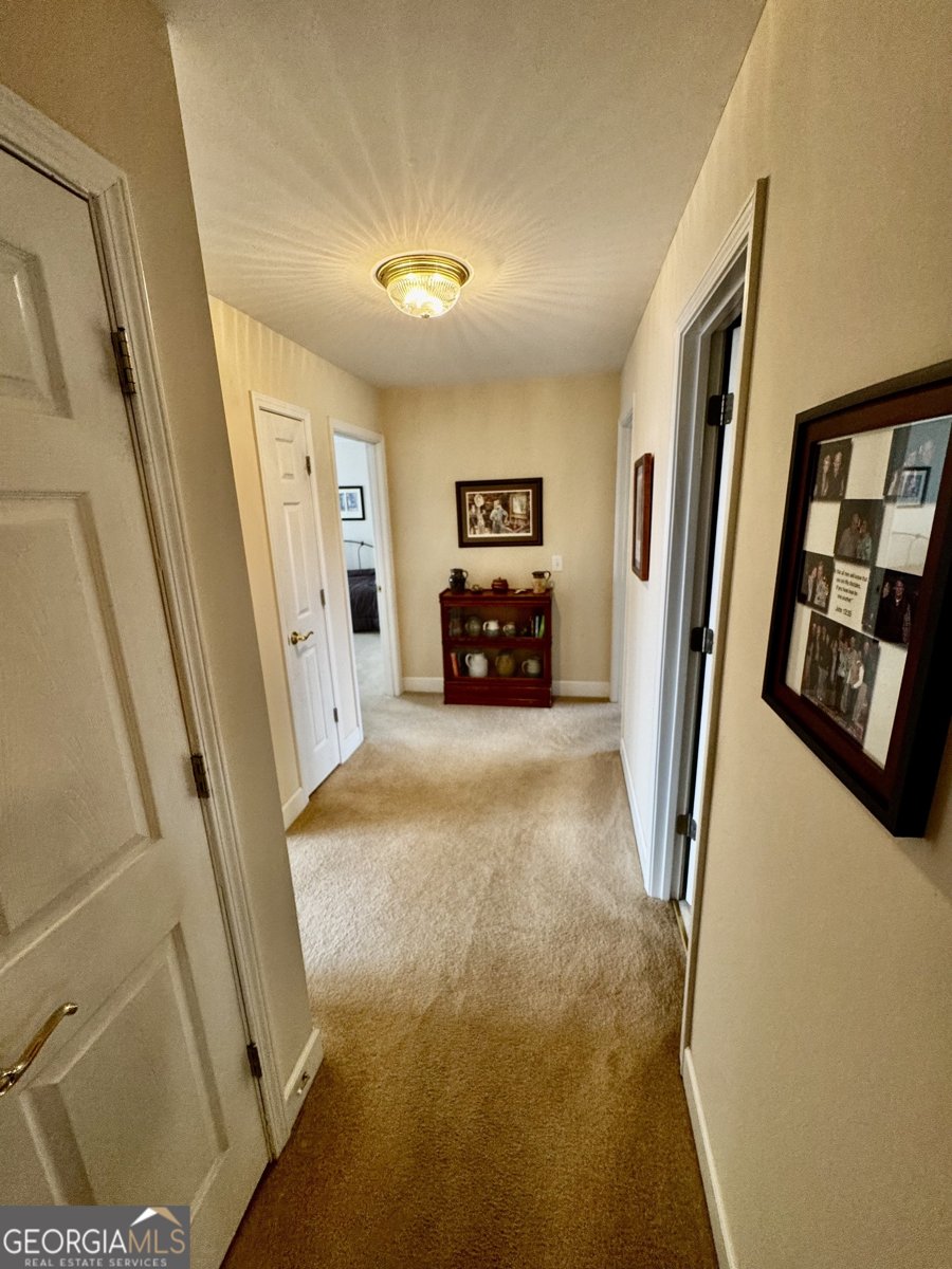 1064 Annandale Drive Clarkesville - 12