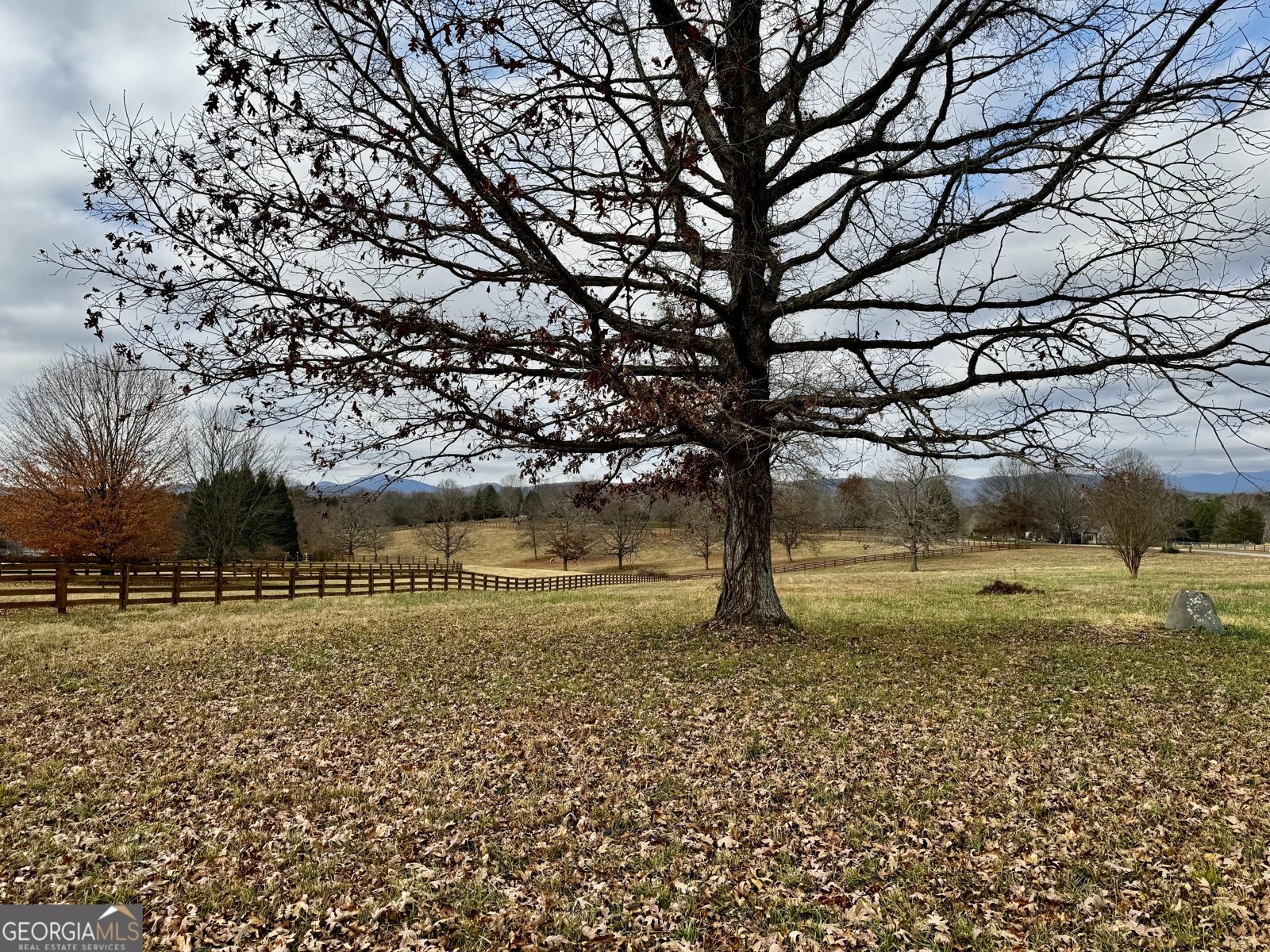 1064 Annandale Drive Clarkesville - 3