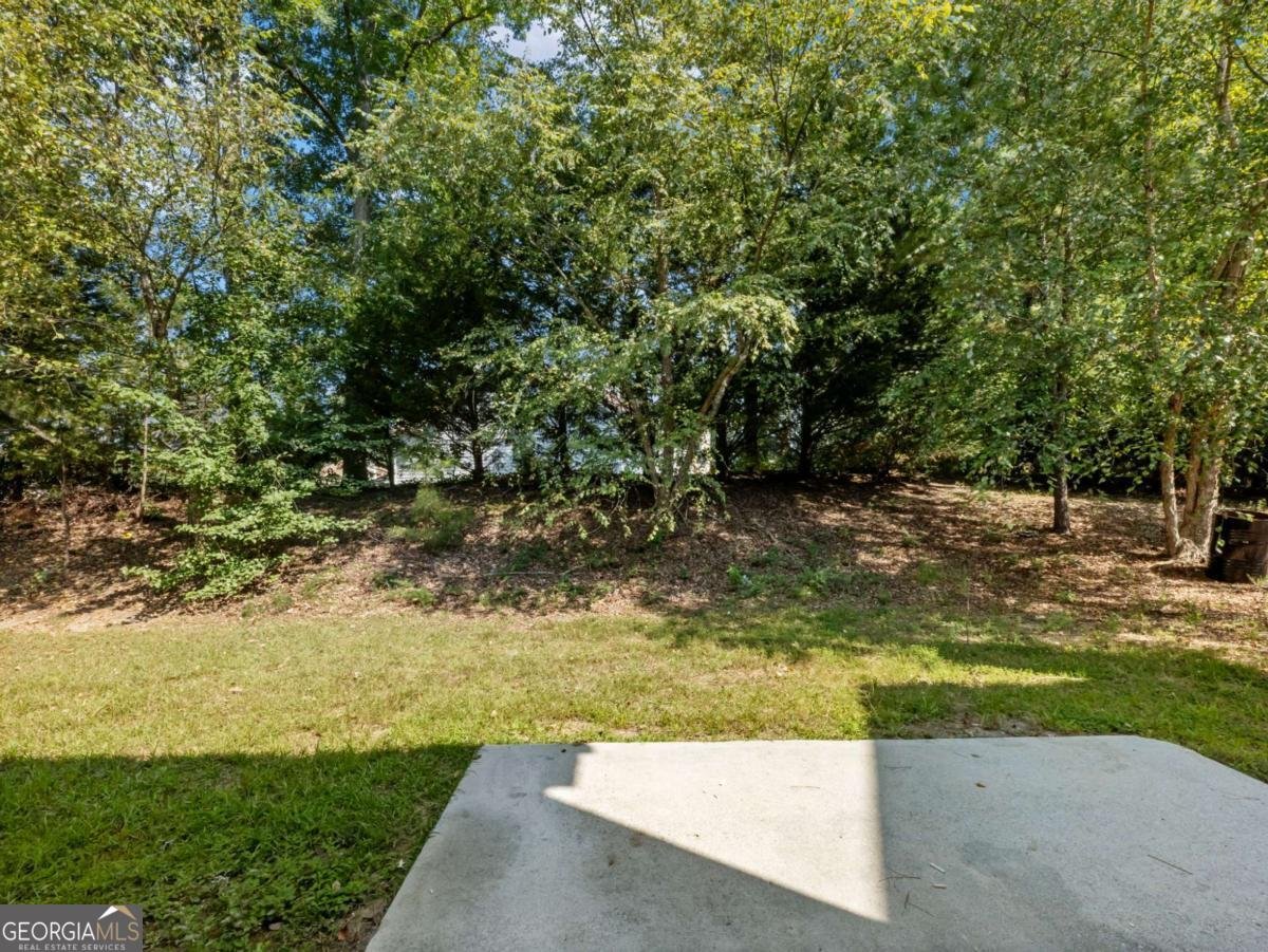 2010 Briar Creek Court Conyers - 27