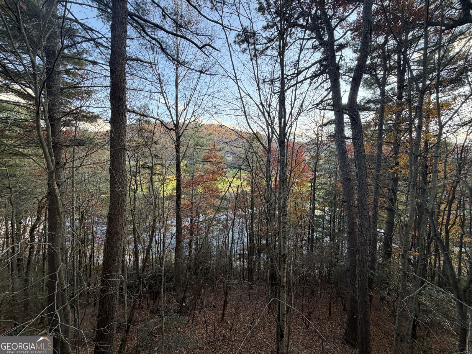 47 Brasstown Lane Dillard - 12