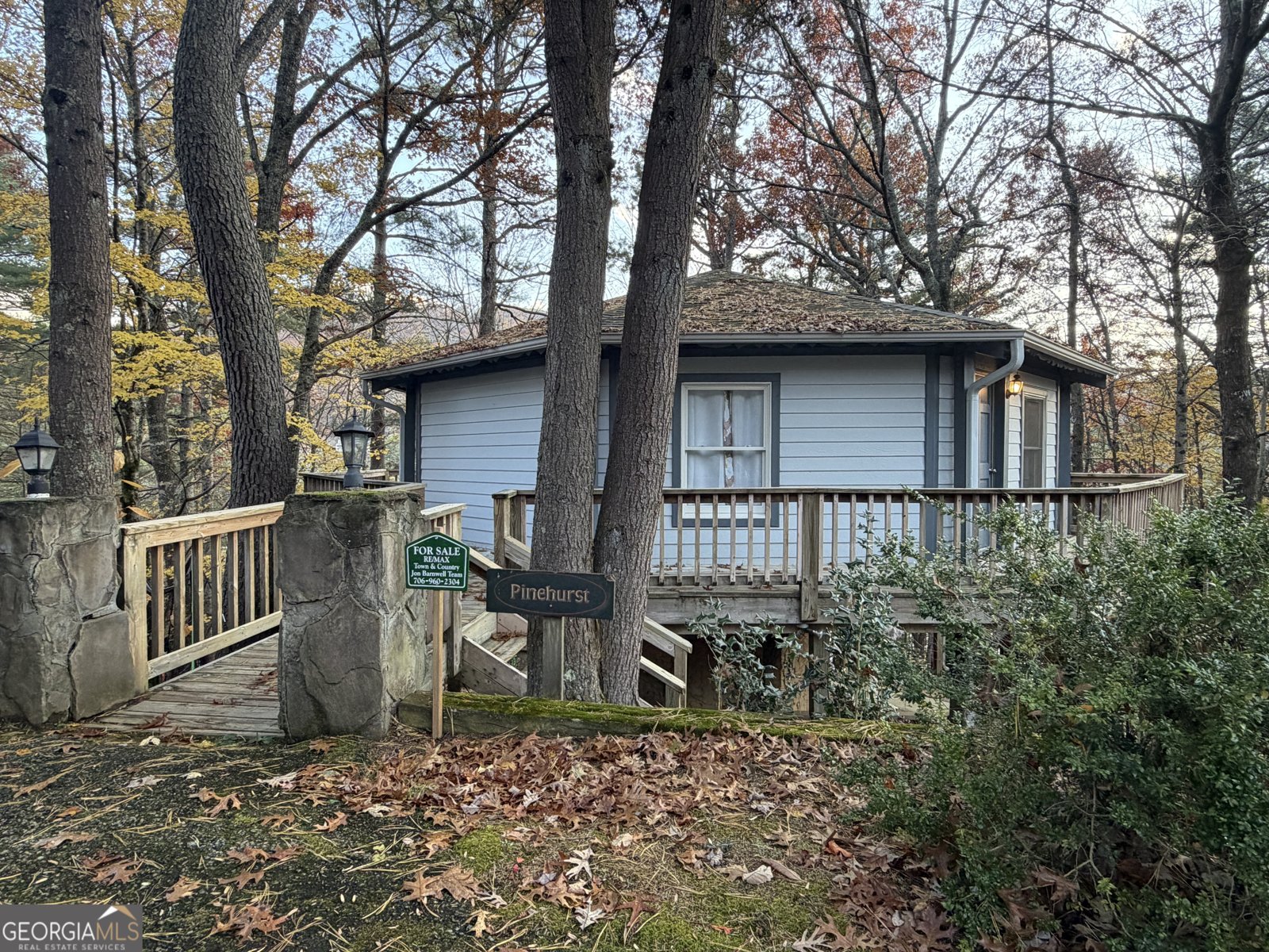 47 Brasstown Lane Dillard - 13